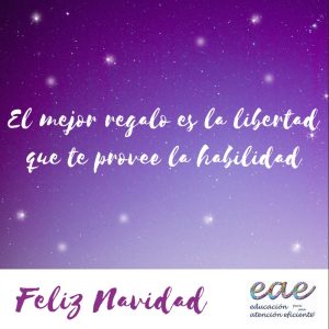 Lee más sobre el artículo FELICES FIESTAS Y AÑO NUEVO