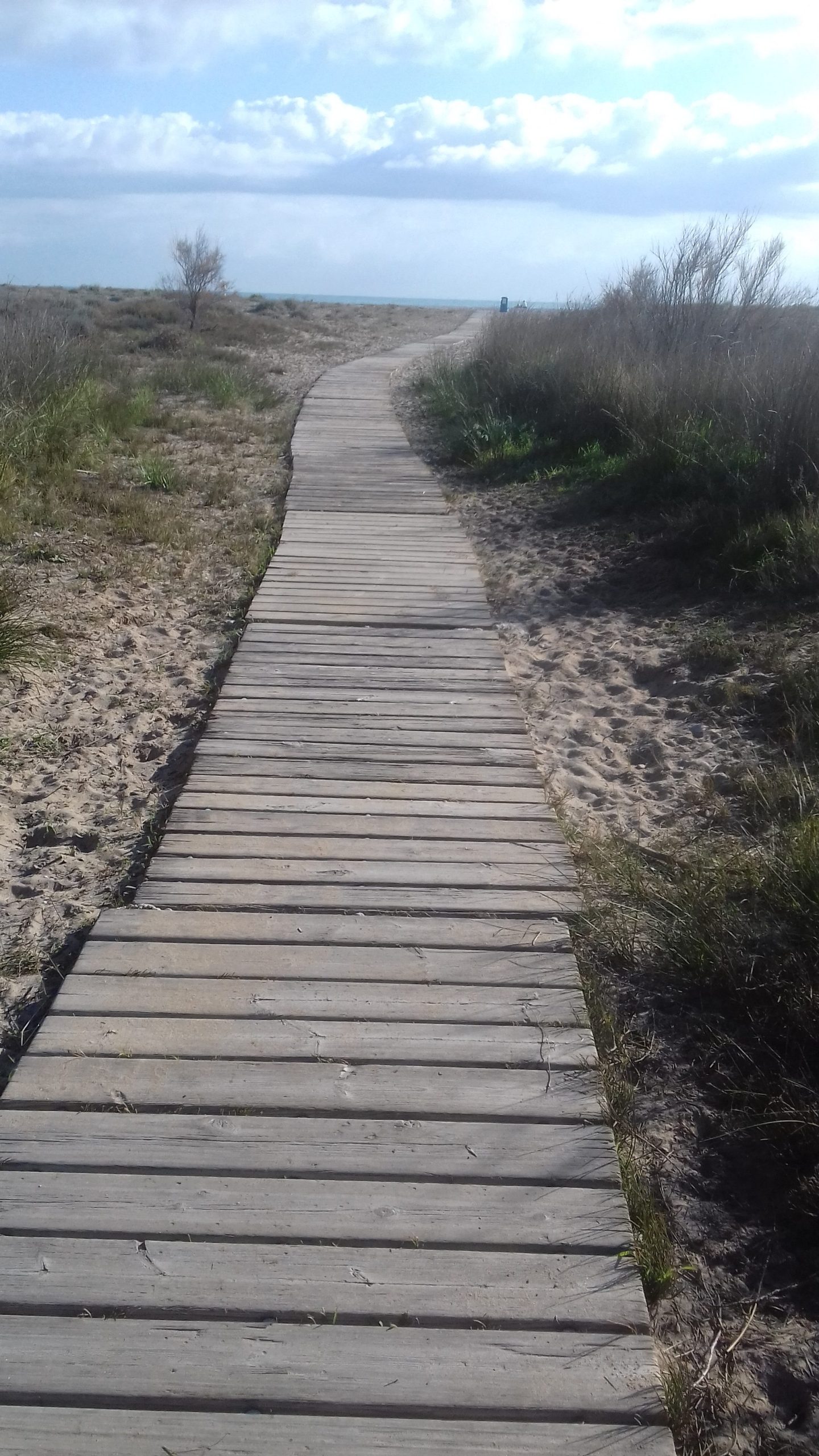 Lee más sobre el artículo FRASE PARA REFLEXIONAR….