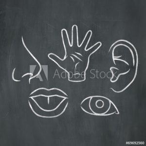 Lee más sobre el artículo DEDOS-NÚMEROS-COLORES