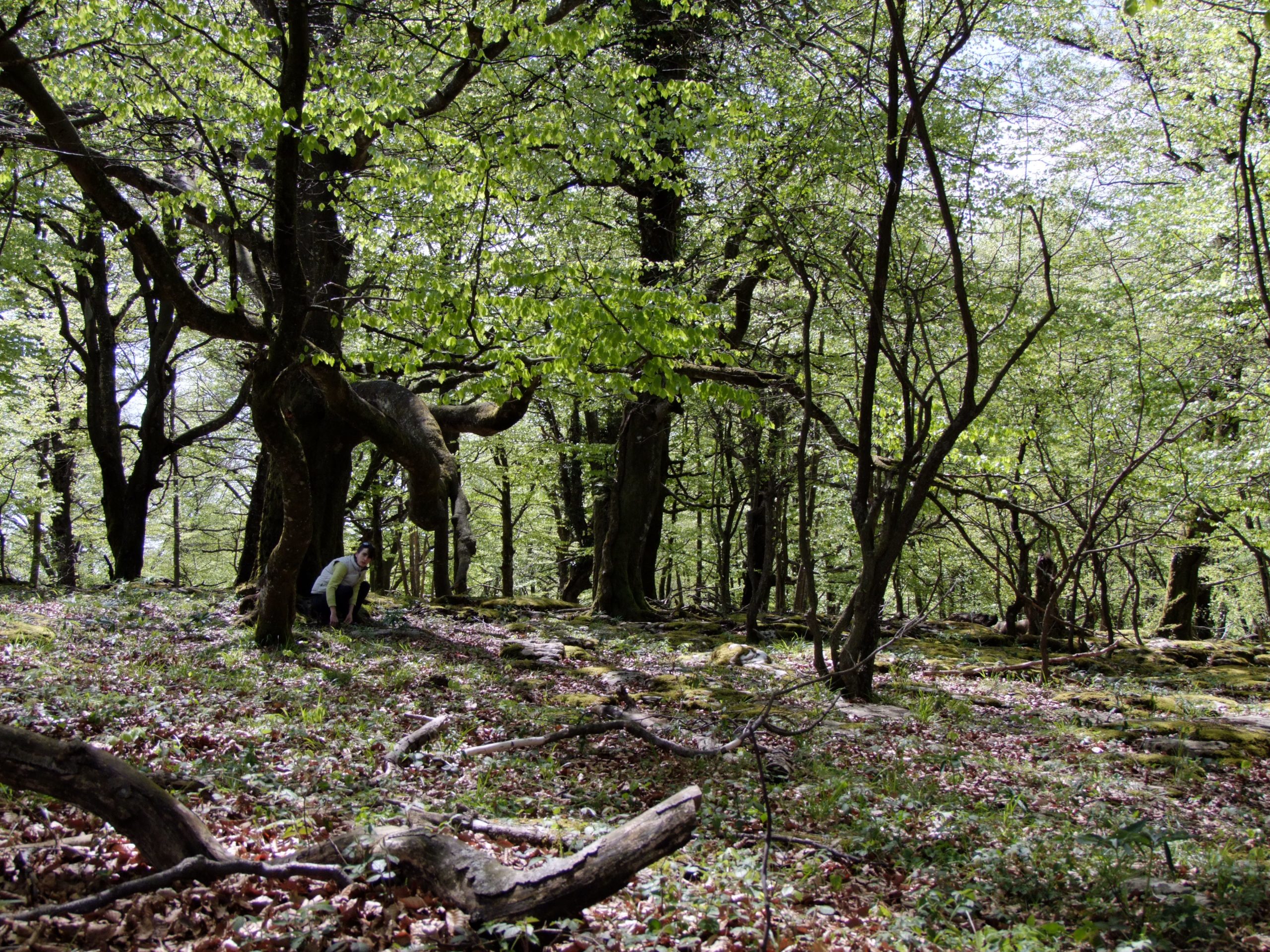 En este momento estás viendo HIPERSENSIBILIDAD SENSORIAL DE ALGUNXS NIÑXS