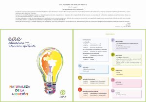 Lee más sobre el artículo PUBLICADA LA PRIMERA UNIDAD PEDAGÓGICA SOBRE LA NATURALEZA DE LA ATENCIÓN. Sesha