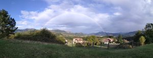 Lee más sobre el artículo LLUVIA EN EL CORO por Estrella Jiménez