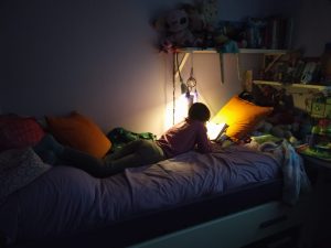Lee más sobre el artículo VÍDEO Y DOCUMENTO CHARLA «Encuentro de las habilidades de niños y niñas a través de la carta natal»