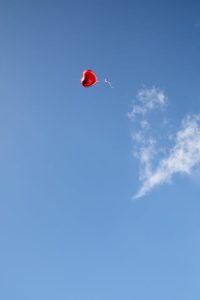 Lee más sobre el artículo ALGUNAS SIMETRÍAS DEL CORAZÓN (respuestas de Sesha)