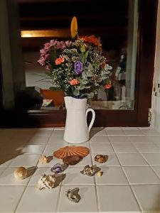 Lee más sobre el artículo LAS INTELIGENCIAS II (Inteligencia Emocional)